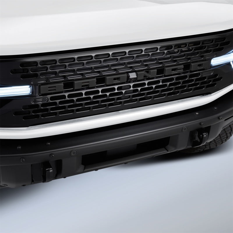 Load image into Gallery viewer, Ford Racing M-1447-BLMB FR Badges

