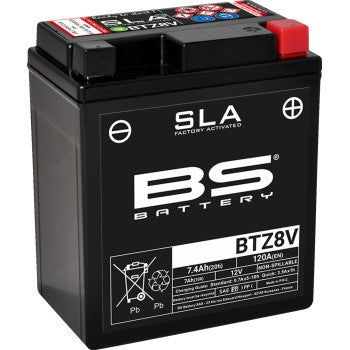 Bs Battery 300890 SLA Factory-Activated AGM Maintenance-Free Battery