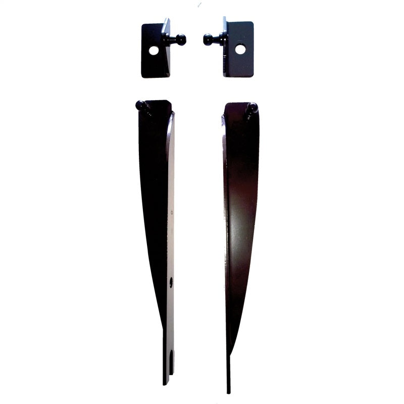 Load image into Gallery viewer, Ford Racing M-16826-M FR Hood Lift Kits
