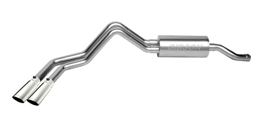 Gibson 65638 GIB Cat-Back - Dual Sport