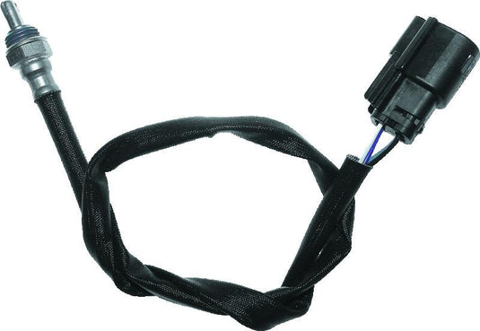 Twinpower 484906 TWP Sensors C
