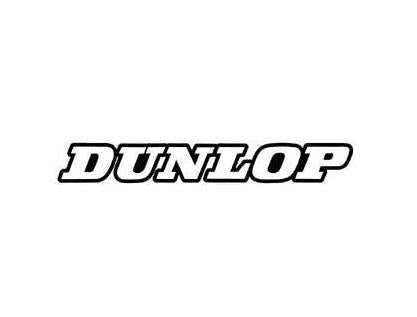 Factory Effex 02-7069 Generic Fork and Swingarm Stickers - Dunlop - White