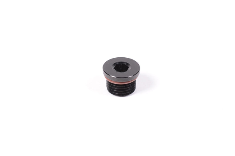 Load image into Gallery viewer, Radium Engineering 14-0149 RAD Fittings
