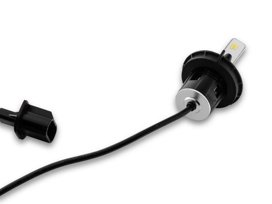 Raxiom U1424 RAX Bulbs