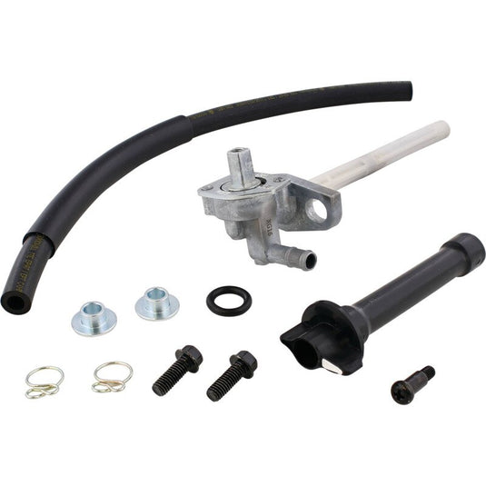 All Balls FS101-0017 Fuel Valve Kit