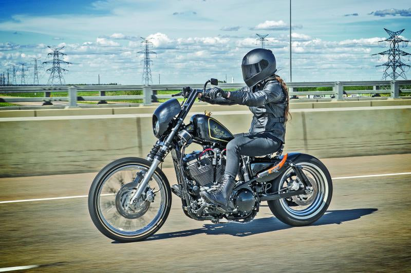 Load image into Gallery viewer, Speed And Strength 880401 SAS Throttle Body Jackets
