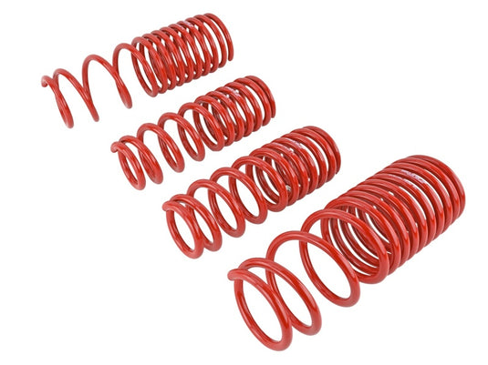 Skunk2 Racing 519-05-1630 SK Lowering Springs