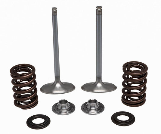 Kibblewhite Precision 40-41450 Intake Only Stainless Conversion Valve/Spring Kit