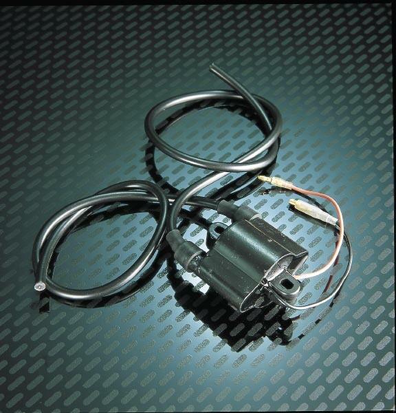 Wsm 004-193 Ignition Coil