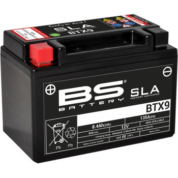 Bs Battery 300674 MF AGM Maintenance-Free Battery