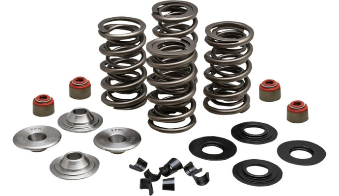 Kibblewhite Precision 20-23550 Racing Valve Spring Kit - .650in. Lift