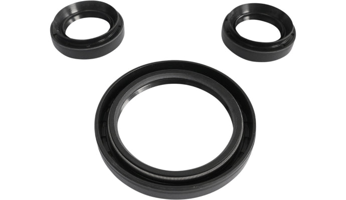 Epi WE290100 Differential Seal Kit