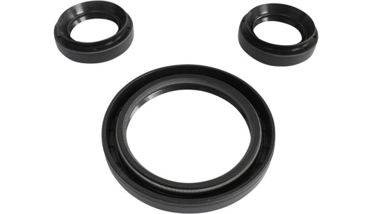 Epi WE290100 Differential Seal Kit