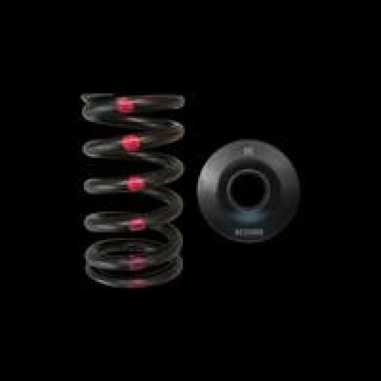 Brian Crower BC0200S BC Spring & Retainer Kits