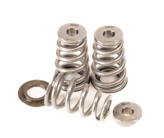 Gsc Power Division 5021 GSC Valve Spring Kits