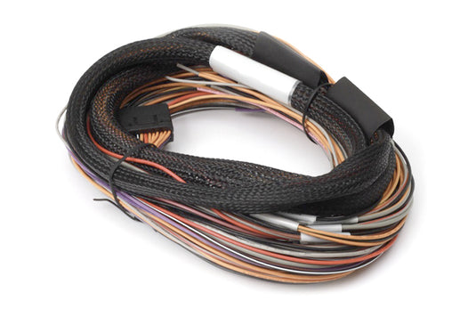 Haltech HT-049902 HAL Flying Lead Harnesses