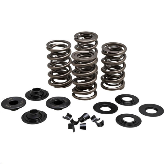 Kibblewhite Precision 20-21650 Racing Valve Spring Kit - .650in Lift