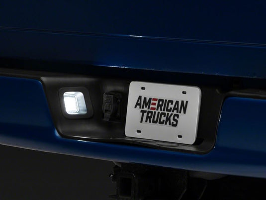 Raxiom R109176 RAX License Plate Bulbs