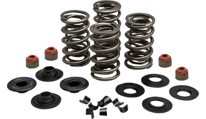 Kibblewhite Precision 20-23500 Racing Valve Spring Kit - .650in. Lift