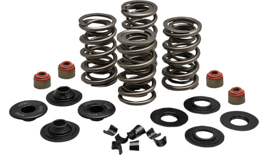 Kibblewhite Precision 20-23500 Racing Valve Spring Kit - .650in. Lift