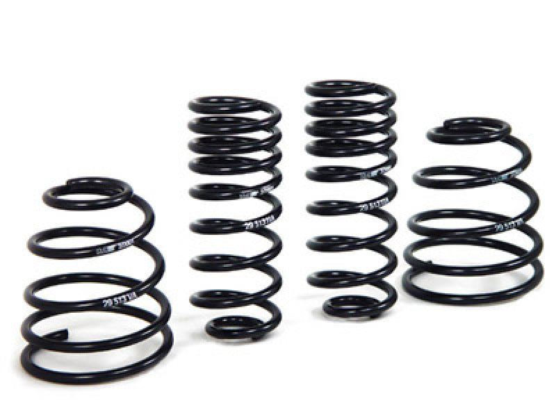 Load image into Gallery viewer, H&amp;R 29513 HR Sport Springs
