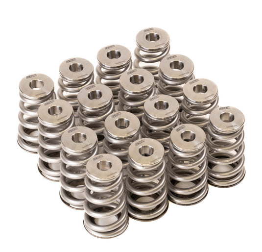 Gsc Power Division 5021 GSC Valve Spring Kits