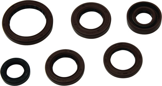 Winderosa 822367 Oil Seal Kit