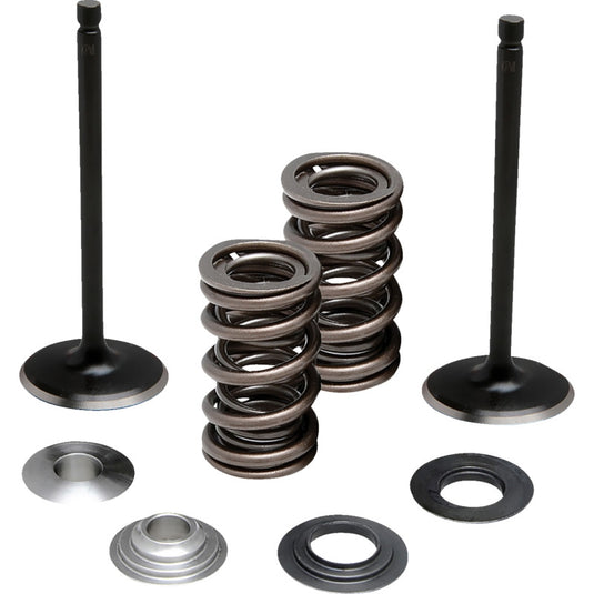 Moose Offroad M80-83160 Stainless Valve and Spring Kit - Exhaust
