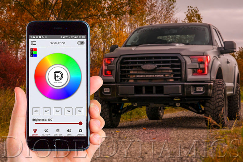 Load image into Gallery viewer, Diode Dynamics DD3066 DIO Electric Switch Controller
