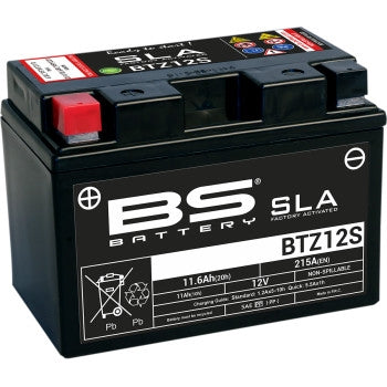 Bs Battery 300637-1 SLA Factory-Activated AGM Maintenance-Free Battery