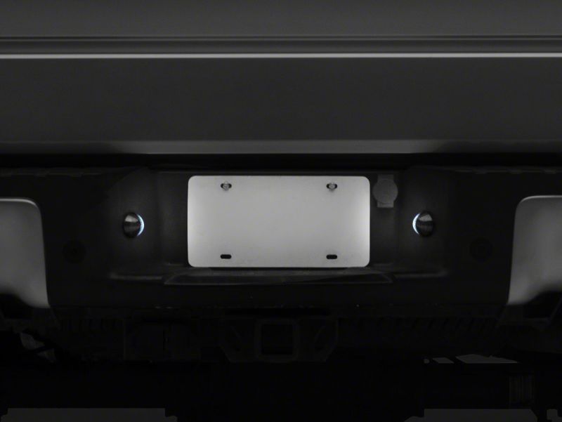 Load image into Gallery viewer, Raxiom T543147 RAX License Plate Bulbs
