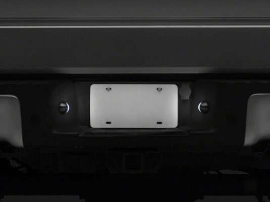 Raxiom T543147 RAX License Plate Bulbs