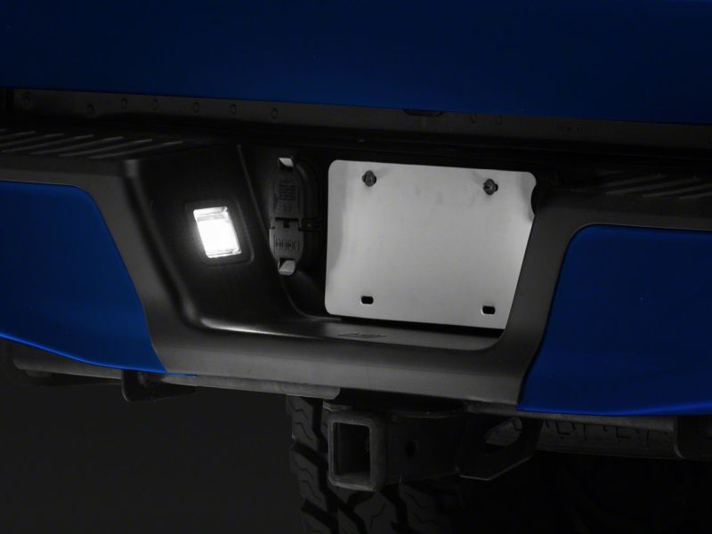 Load image into Gallery viewer, Raxiom T542565 RAX License Plate Bulbs
