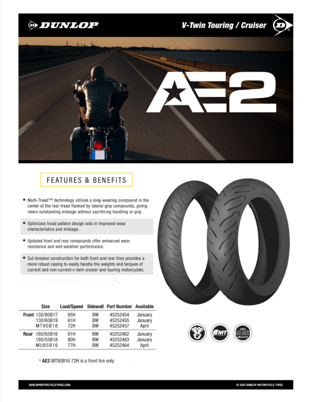 Load image into Gallery viewer, Dunlop 45252455 DUN AE2 Tires
