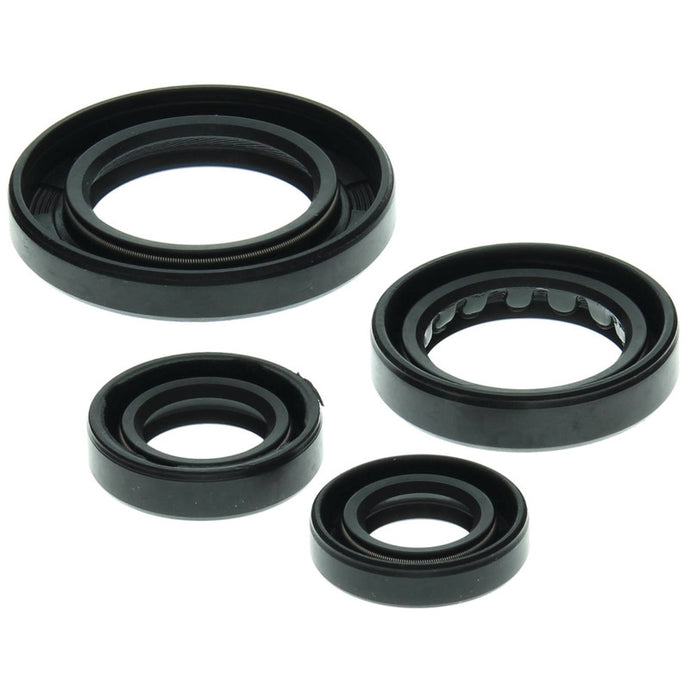 Vertex 822211 Oil Seal Kit