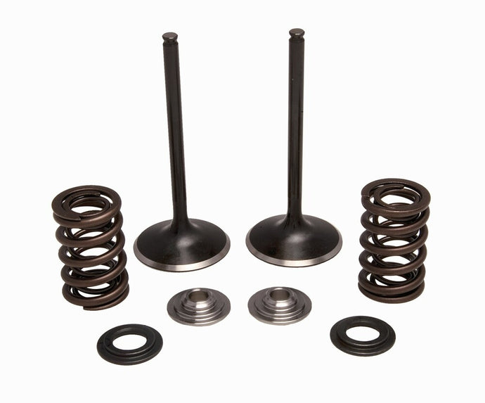 Kibblewhite Precision 30-34000 Intake Only Stainless Conversion Valve/Spring Kit