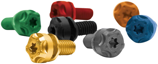 Two Brothers Racing 005-001-SS Torx Screw Kit - Stainless Steel