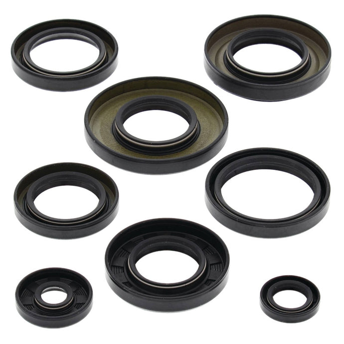 Vertex 822253 Oil Seal Kit