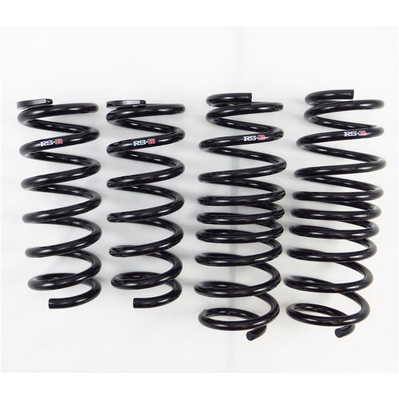 Load image into Gallery viewer, Rs-R N123D RSR Down Sus Springs

