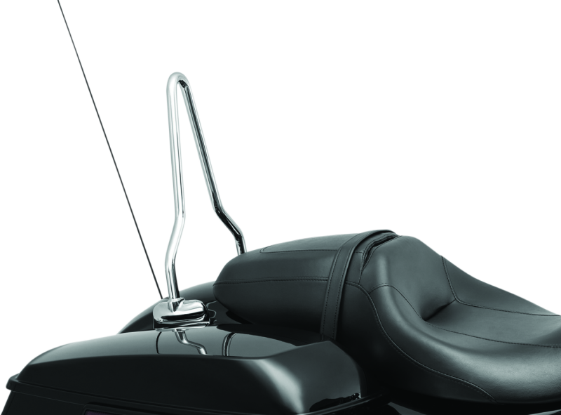 Load image into Gallery viewer, Kuryakyn 6585 KUR Sissy Bars
