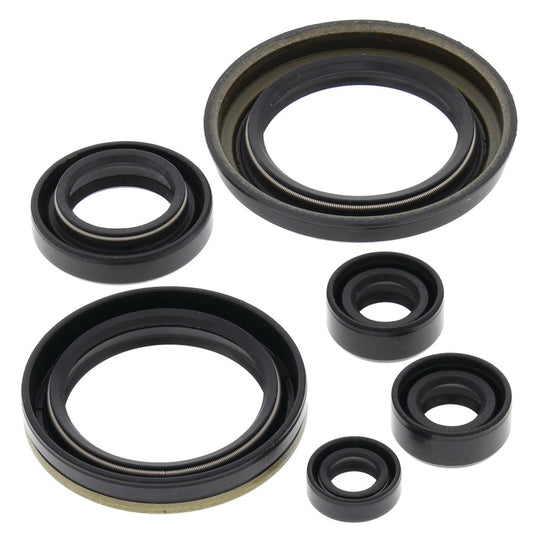 Vertex 822280 Oil Seal Kit