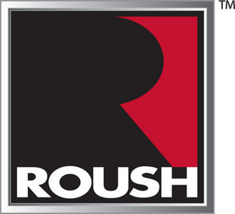 Load image into Gallery viewer, Roush 422266 RSH Cat Back Exhausts
