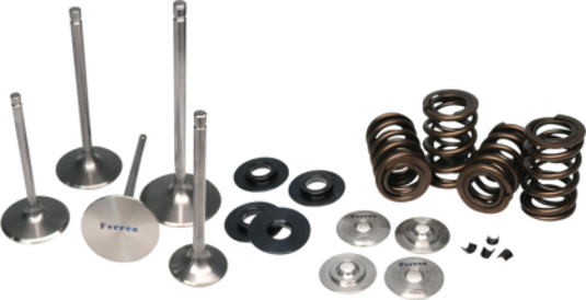 Ferrea KT4050 FER Valve Spring Kits