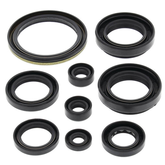 Vertex 822259 Oil Seal Kit