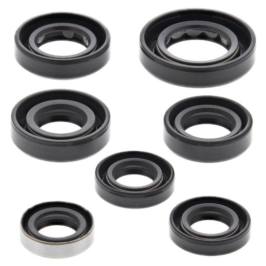 Vertex 822289 Oil Seal Kit