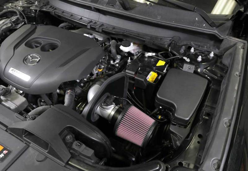 Load image into Gallery viewer, K&amp;N Engineering 69-6034TS KN 69 Typhoon Intake
