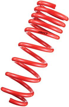 Load image into Gallery viewer, Tanabe TDF112 TAN Springs - DF210
