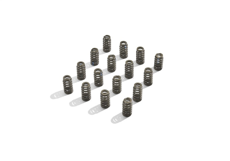 Load image into Gallery viewer, Ford Racing M-6513-M50BR FR Valve Spring Kits
