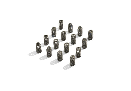 Ford Racing M-6513-M50BR FR Valve Spring Kits