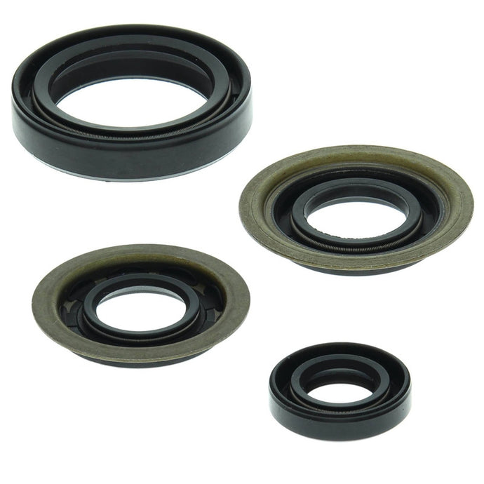 Vertex 822273 Oil Seal Kit